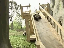 GIF Description