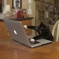 GIF Description