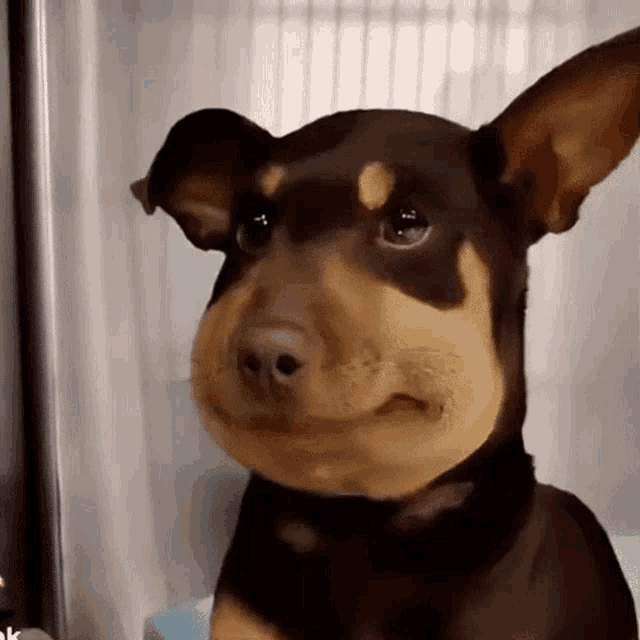 GIF Description